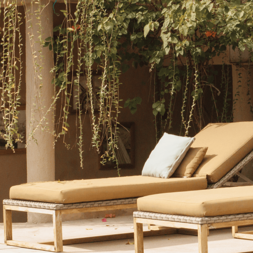 Coin tisanerie – Le Domaine des Monts de la Baie Coin tisanerie - Le Domaine des Monts de la Baie